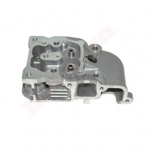 Cilindro galva tinkanti YANMAR L 48 ( 114770-11020 ) 011346