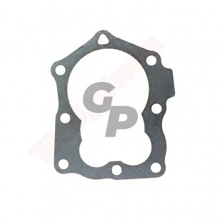 Cilindro galvutės tarpinė tinkanti BRIGGS & STRATTON ( 799875 ) 009577