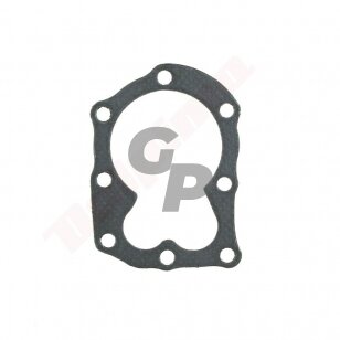 Cilindro galvutės tarpinė tinkanti BRIGGS & STRATTON CLASSIC ( 698717 , 270341 , 272170 ) 009578