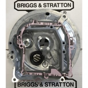 Karteris Briggs&Stratton ohv 010339