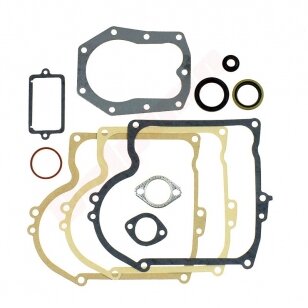 Tarpinių komplektas tinkanits BRIGGS & STRATTON 11 ( 393411 ) 009612