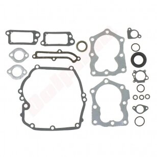 Tarpinių komplektas tinkanits BRIGGS & STRATTON ( 590508 ) 009609