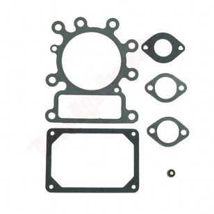 Tarpinių komplektas tinkanits BRIGGS & STRATTON  6 ( 495992 ) 009605