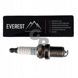 Žvakė EVEREST 11-06032 tinkanti Briggs&Stratton, OHV varikliams 005477