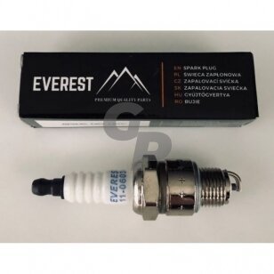 Žvakė EVEREST 11-06034 tinkanti Wacker varikliams 005478